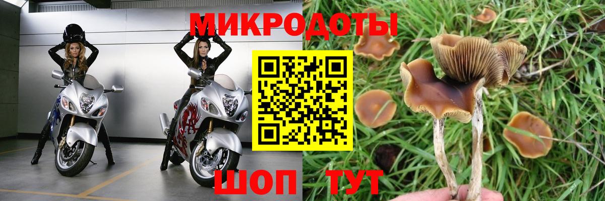 Галлюциногенные грибы Psilocybe  Псилоцибиновые грибы Psilocybine cubensis  Богородицк  Вход с VPN 